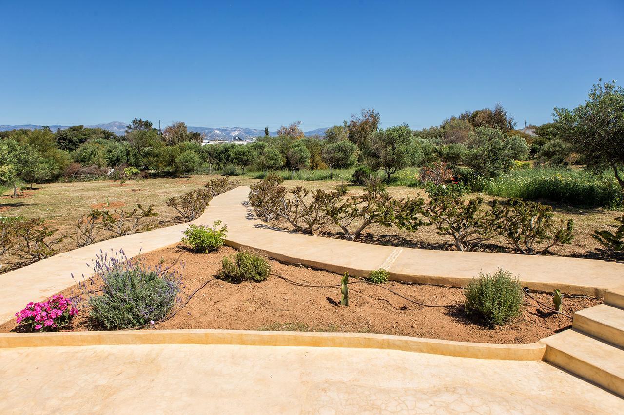 Villa Filizi - Filizi Naoussa Paros Санта-Мария Экстерьер фото